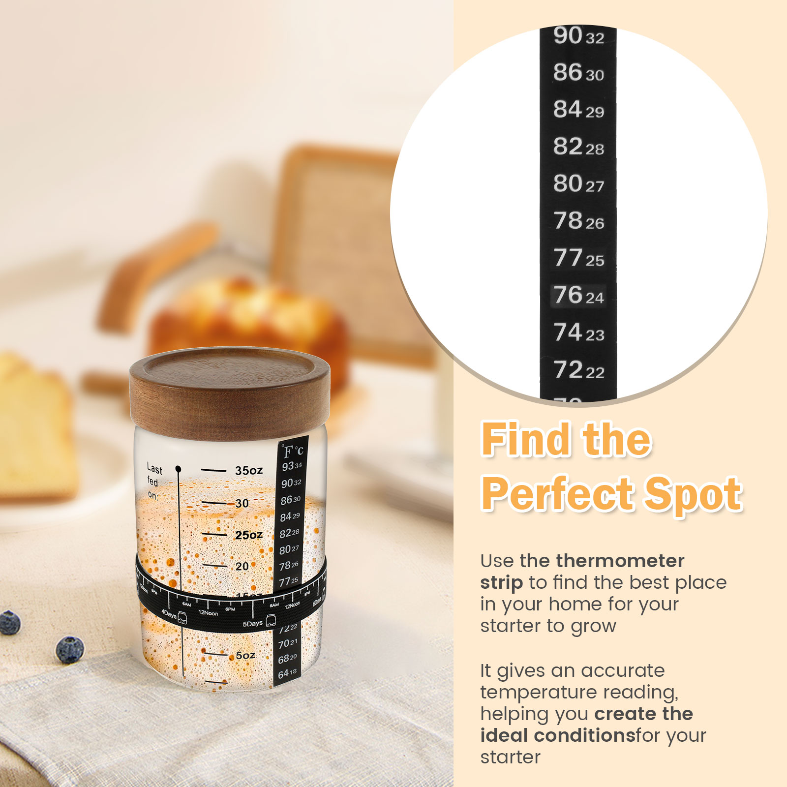 Sourdough Starter Jar Kit 1000 - Kitchen Baking Containers review and price